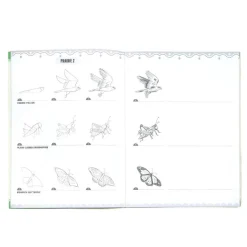 Learn to Draw Bugs, Birds, & Butterflies