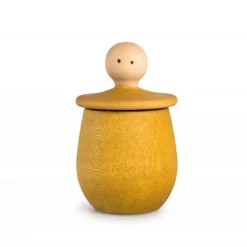 Little Thing Wooden Treasure Box - Multiple Colors