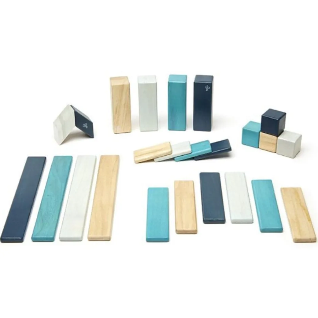 Magnetic Wooden Blocks - 24 Piece Set Blues