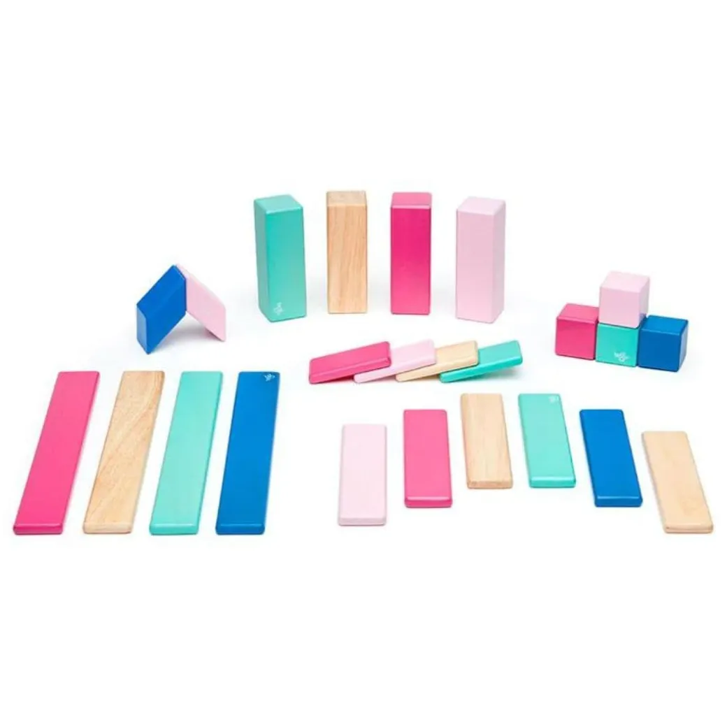 Magnetic Wooden Blocks - 24 Piece Set Blossom
