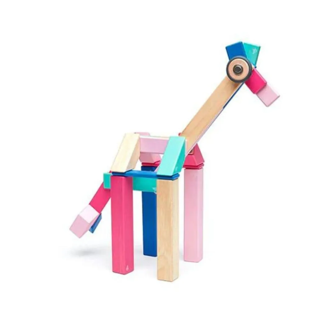 Magnetic Wooden Blocks - 42 Piece Set Blossom
