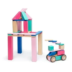 Magnetic Wooden Blocks - 42 Piece Set Blossom