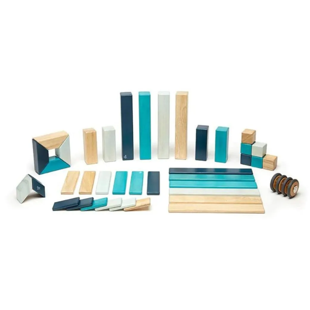 Magnetic Wooden Blocks - 42 Piece Set Blues