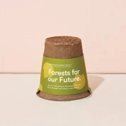Modern Sprout One-For One Tree Kit