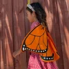 Monarch Butterfly Wings