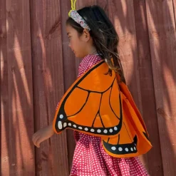 Monarch Butterfly Wings