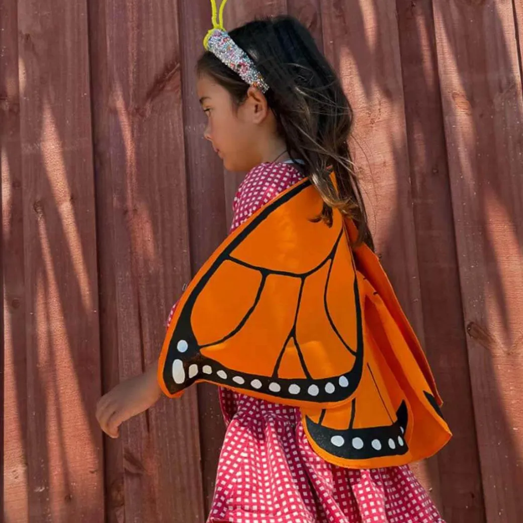 Monarch Butterfly Wings