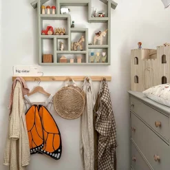 Monarch Butterfly Wings