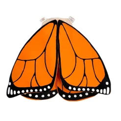 Monarch Butterfly Wings
