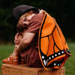 Monarch Butterfly Wings