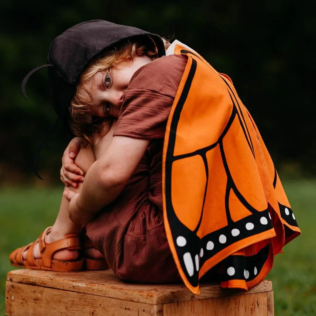 Monarch Butterfly Wings