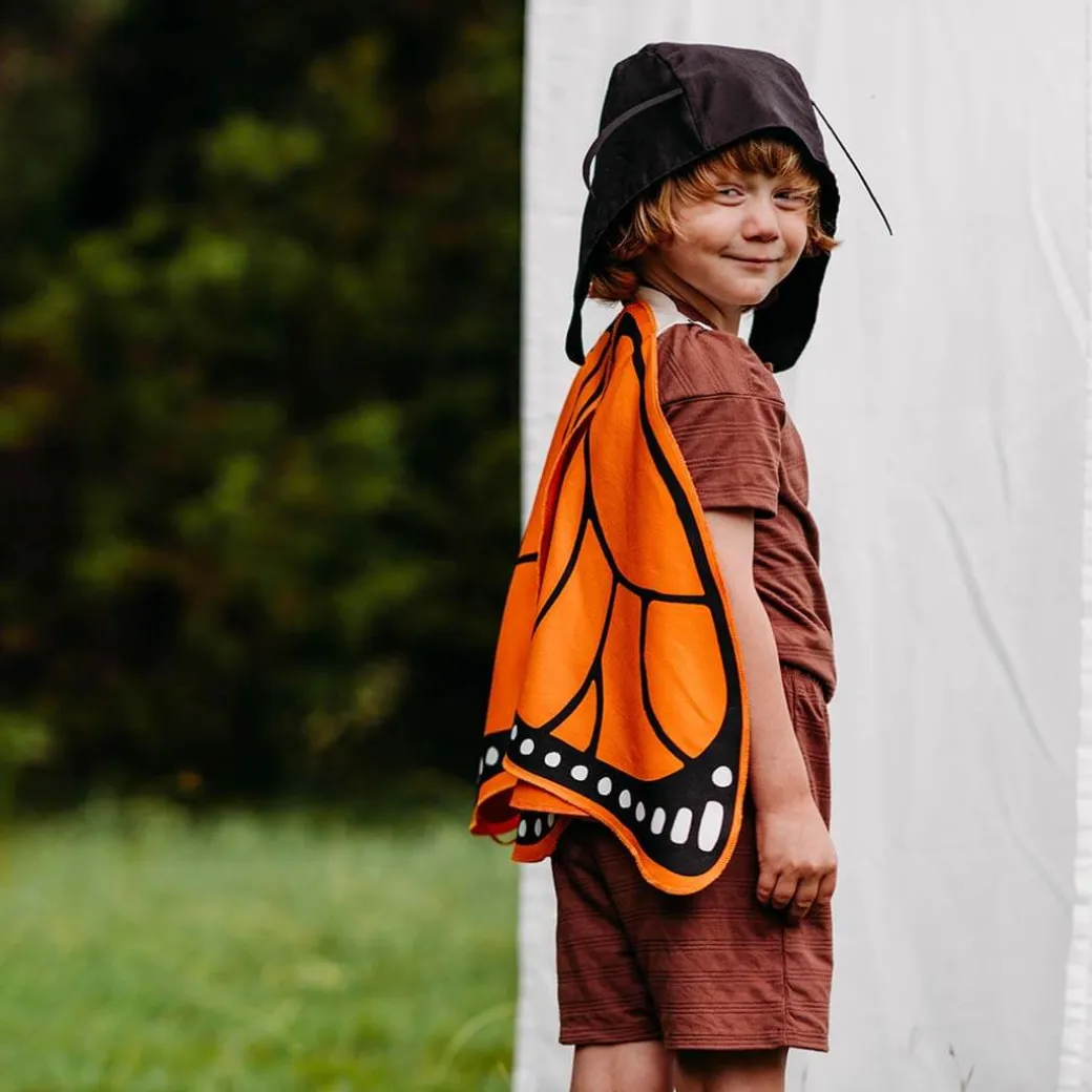 Monarch Butterfly Wings