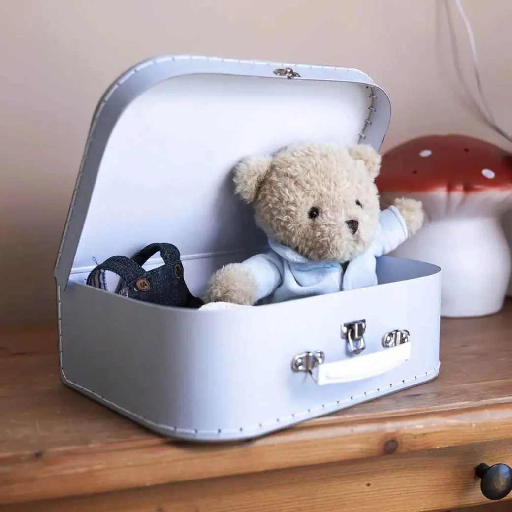 Morris Teddy Bear in a Suitcase