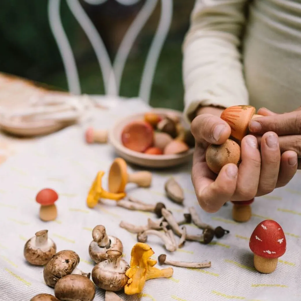 Mushroom Grove Wooden Play Set