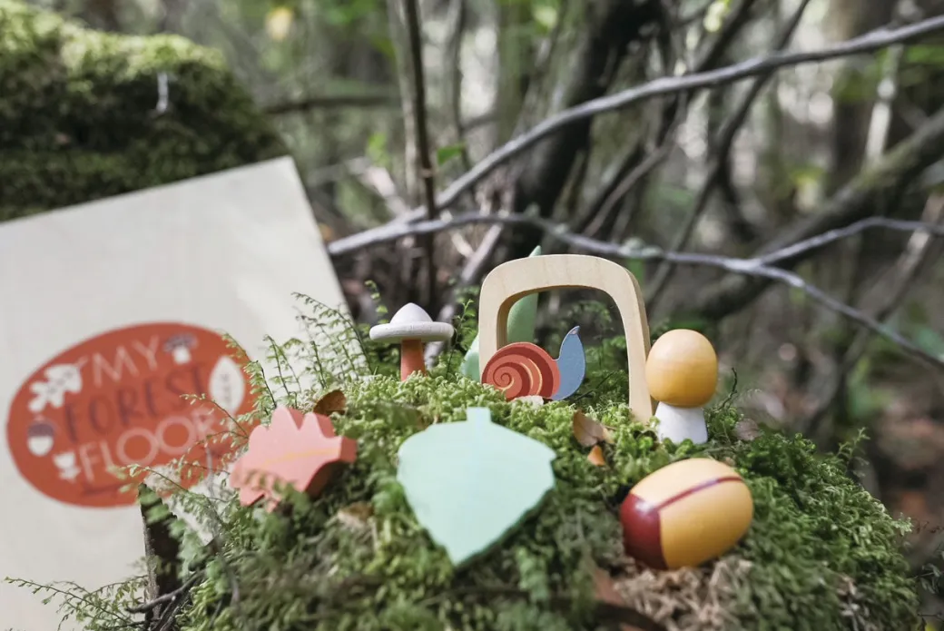 My Forest Floor Wooden Play Set