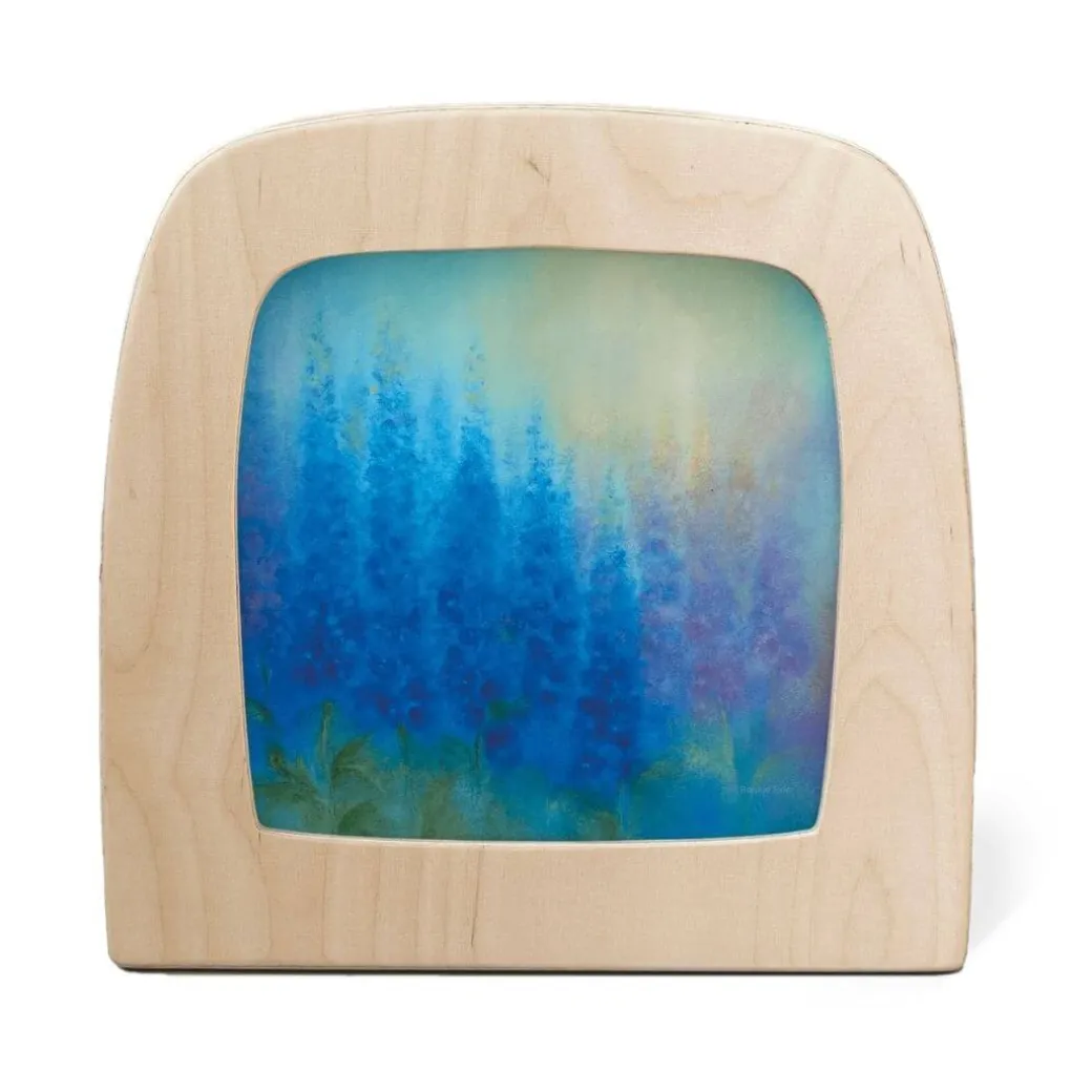 Night Light Transparency - Baukje Exler Artist Collection