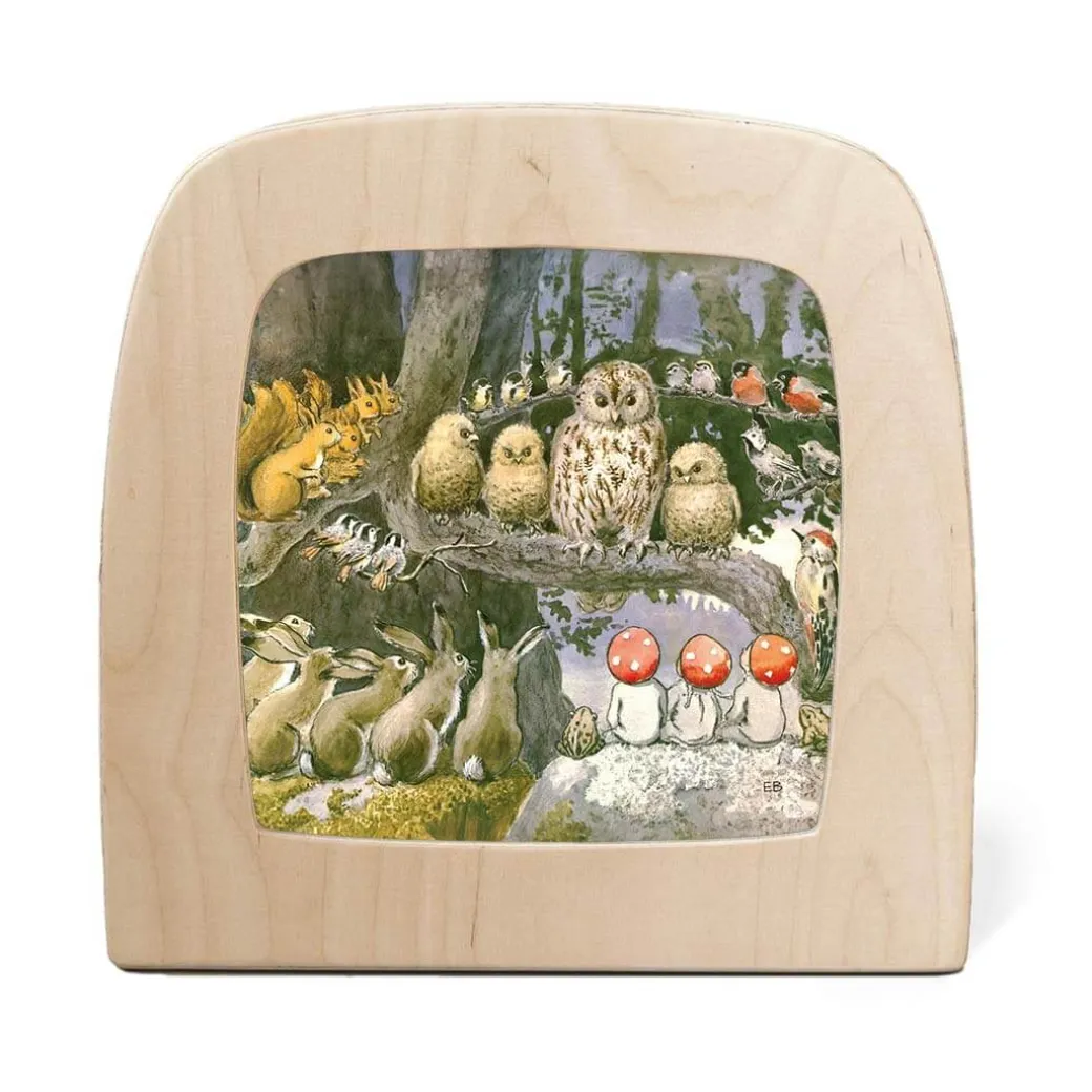 Night Light Transparency - Children Of The Forest Collection