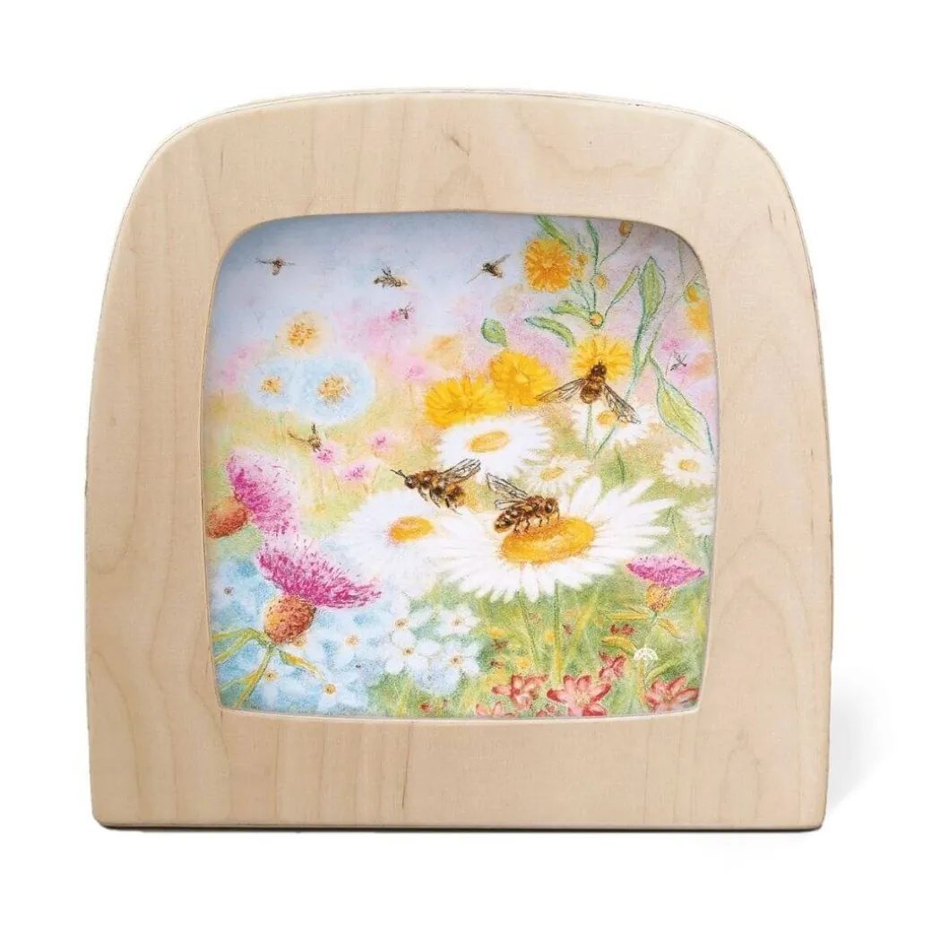 Night Light Transparency - Kapitein Kalk's Artist Collection