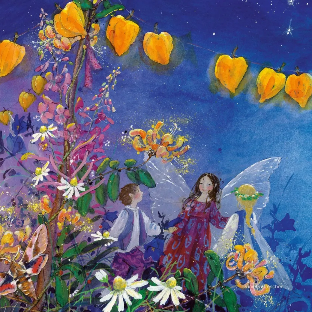 Night Light Transparency Set - Little Fairy Can't Sleep