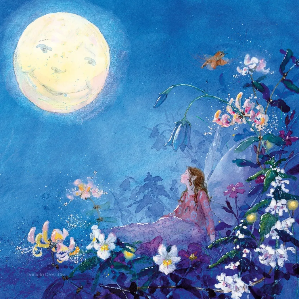 Night Light Transparency Set - Little Fairy Can't Sleep