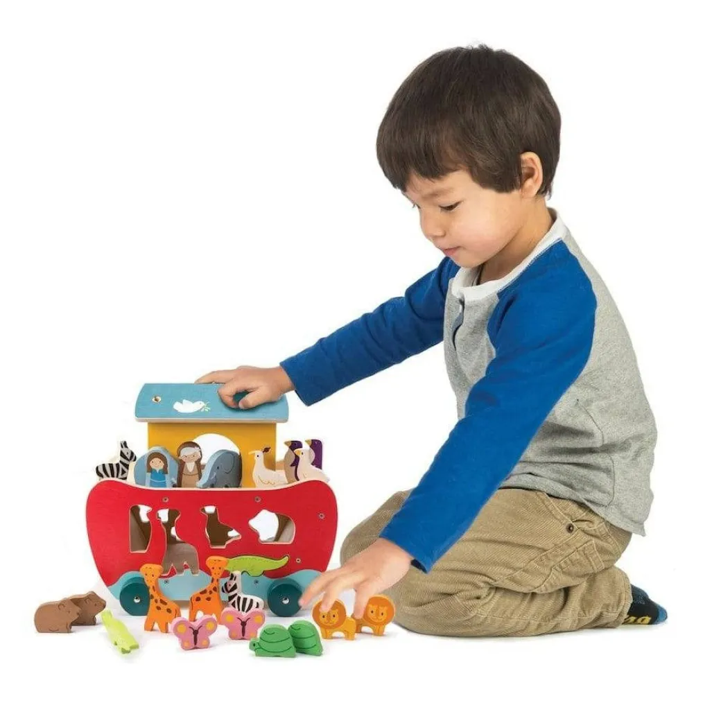Noah's Ark Shape Sorter