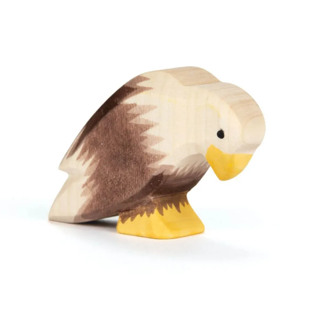 Ostheimer Bald Eagle Sitting