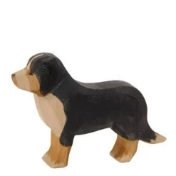 Ostheimer Bernese Mountain Dog