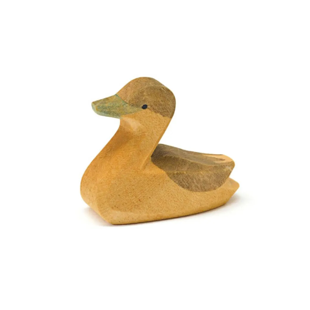 Ostheimer Canada Goose Gosling