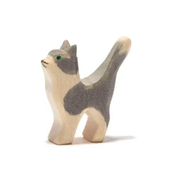 Ostheimer Cat, Gray and White, Head Up