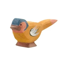 Ostheimer Chaffinch Bird
