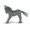 Ostheimer Charcoal Colt