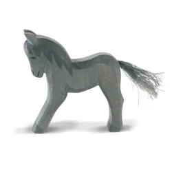 Ostheimer Charcoal Colt