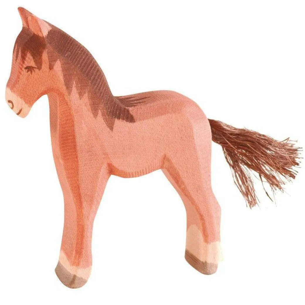 Ostheimer Colt (Foal), Brown