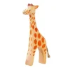 Ostheimer Giraffe, Standing