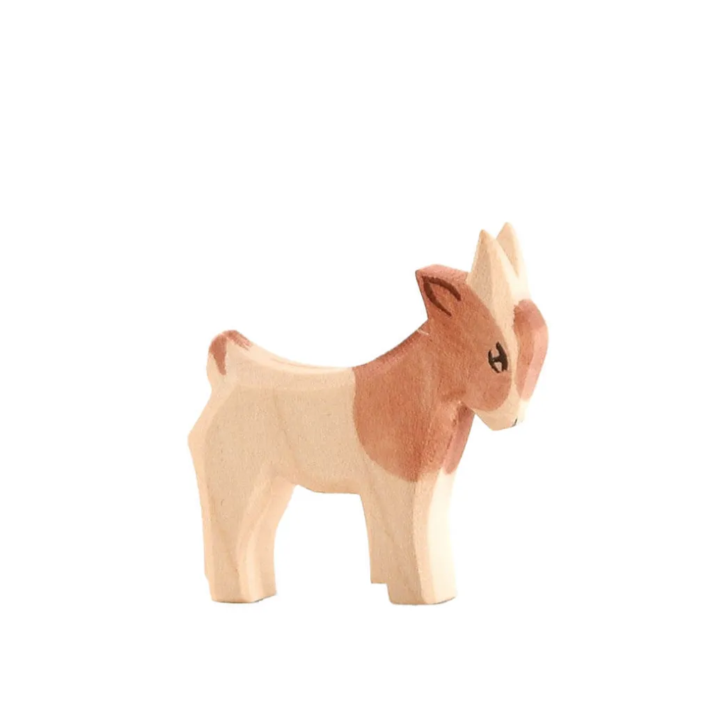 Ostheimer Goat Kid, Standing