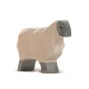 Ostheimer Moorland Sheep