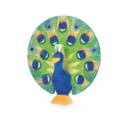 Ostheimer Peacock, Open