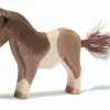 Ostheimer Pony, Brown & White