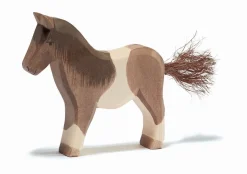 Ostheimer Pony, Brown & White