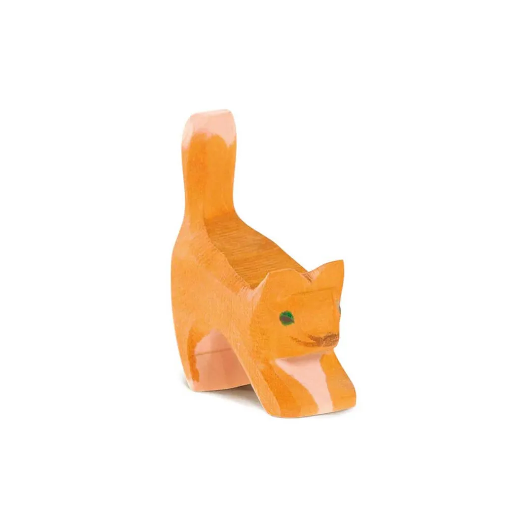 Ostheimer Small Orange Cat, Head Low