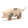 Ostheimer Spotted Pig, Head High