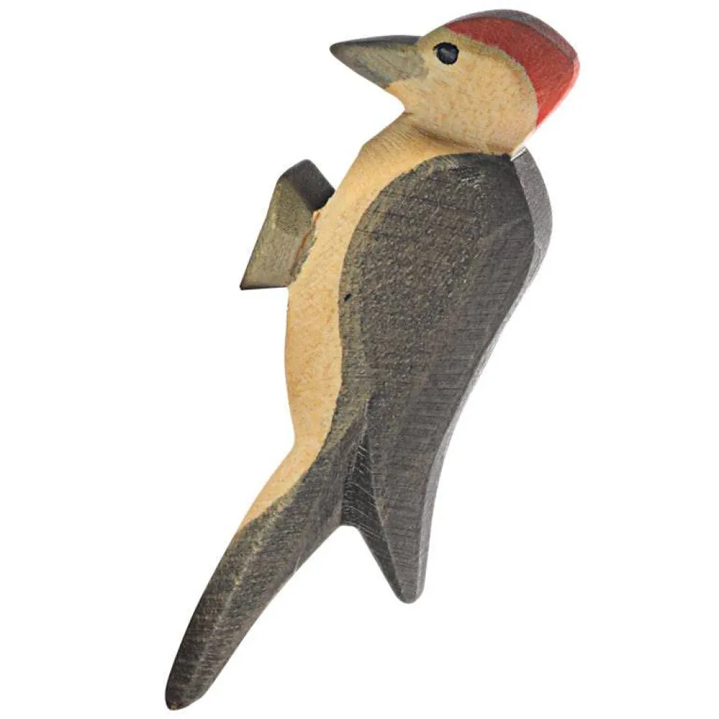 Ostheimer Woodpecker