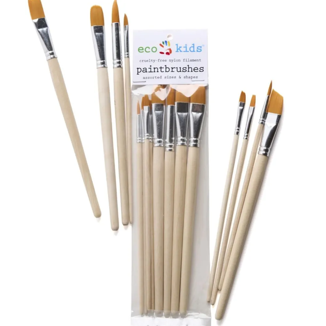 Paintbrush Set