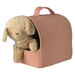 Pet Carrier