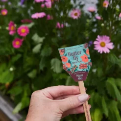 Pollinator Seed Pop
