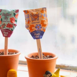 Pollinator Seed Pop