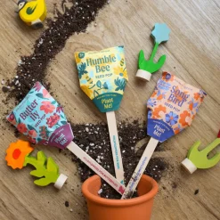 Pollinator Seed Pops - Set of Three