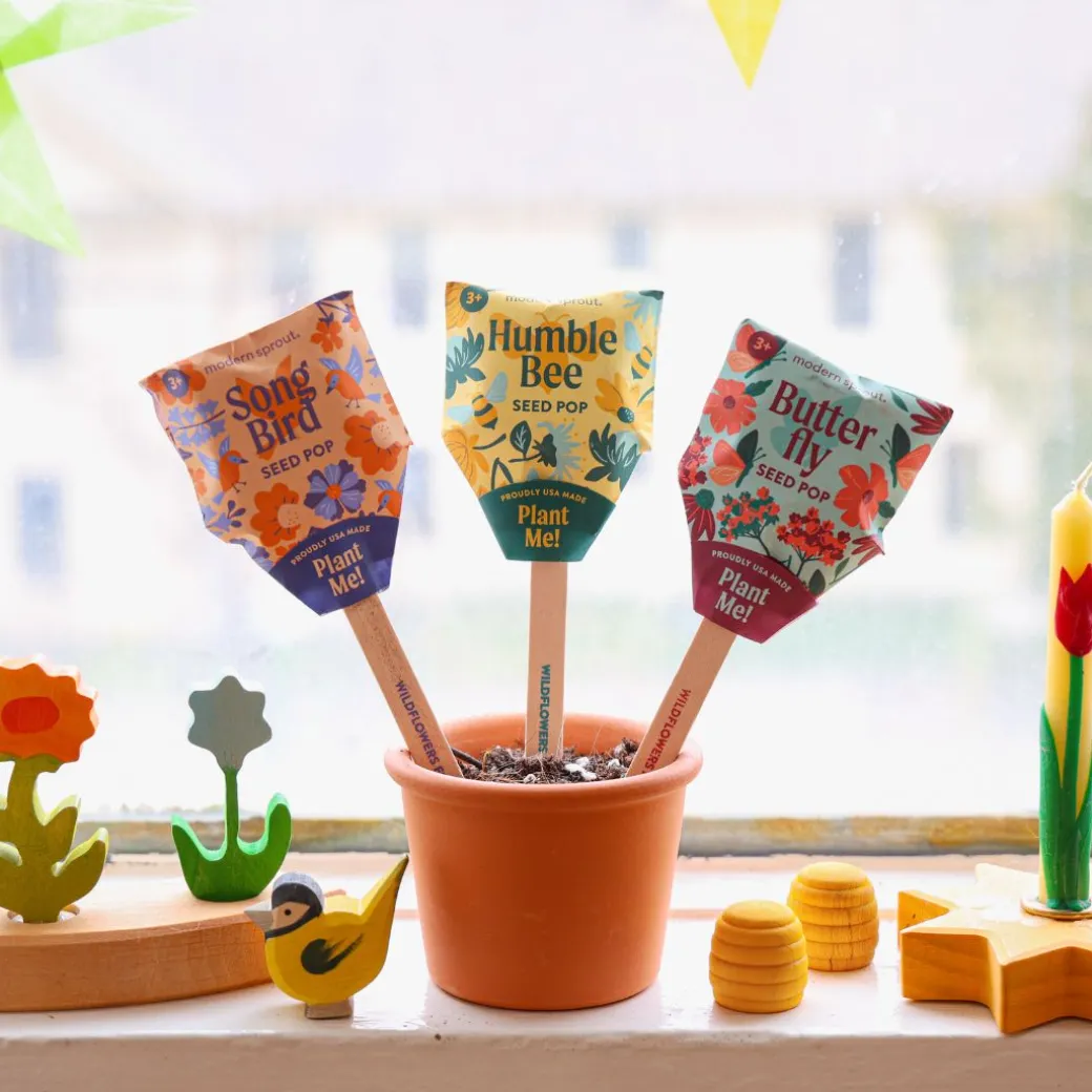 Pollinator Seed Pops - Set of Three