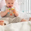 Rainbow Wheel Grasping Toy