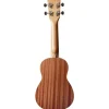 Soprano Ukulele - Learn to Play Starter Kit